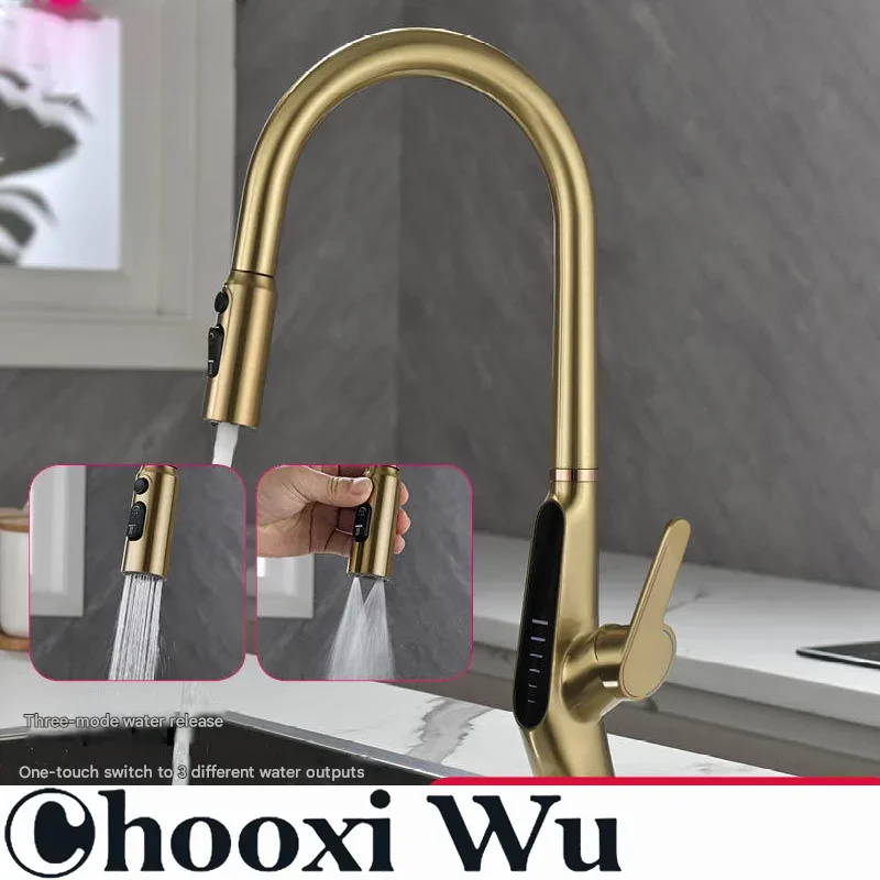 

CHOOXIWU - All-copper kitchen faucet, smart digital display faucet, hot and cold pull-out sink, plug-in water purifier