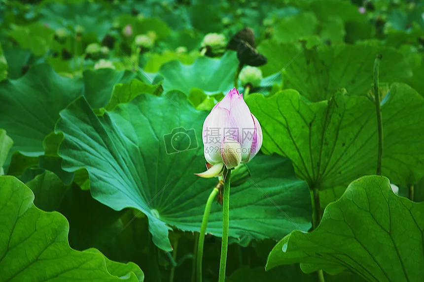 

1/10 Scale RC Car Plastic Side-View Mirrors Exhaust Pipe Brake Disc Wipers Model Hobby On-road Off-road Drift Touring