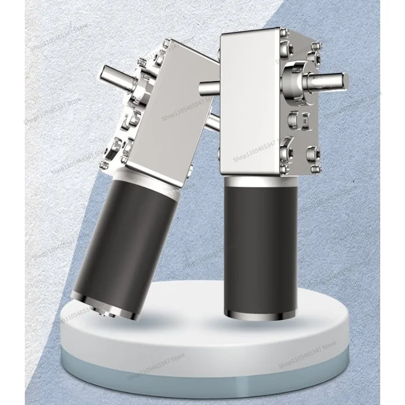 For 5840-31ZY Turbo Worm Self-locking Double Out Shaft Gear Motor Right Angle Motor Automatic Doors and Windows