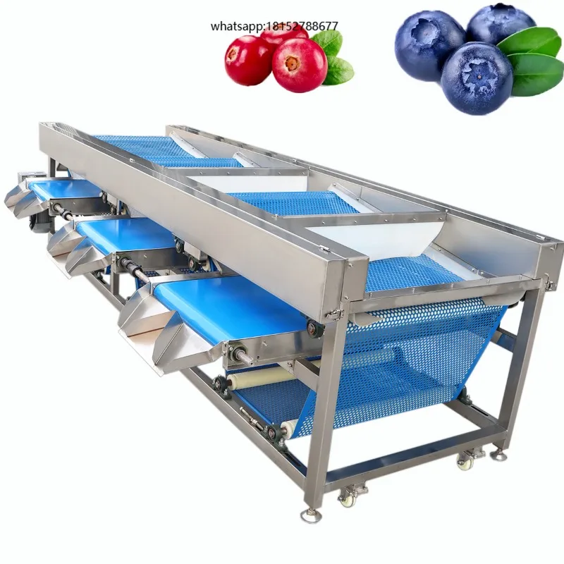 Blueberry Tomato Cranberry Vegetable & Fruit Sorting Grading Machine with 3 Grades High Efficiency