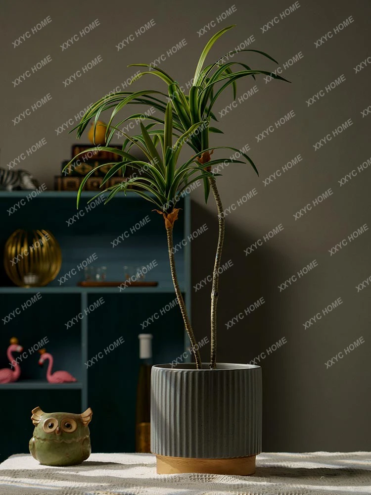 Imitative Tree Plants Dracaena Ferns Succulent Agave Bonsai Fake Green Plant Indoor Decorative Small Pot Small Ornaments