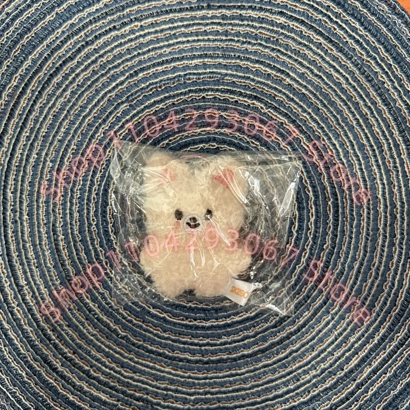 FM Field Week SKZOO Stray Kids Anhänger Mini Plüschschlüssel Rucksack Anhänger Geburtstagsüberraschung für Kinder Paare Ein Muss für Fans