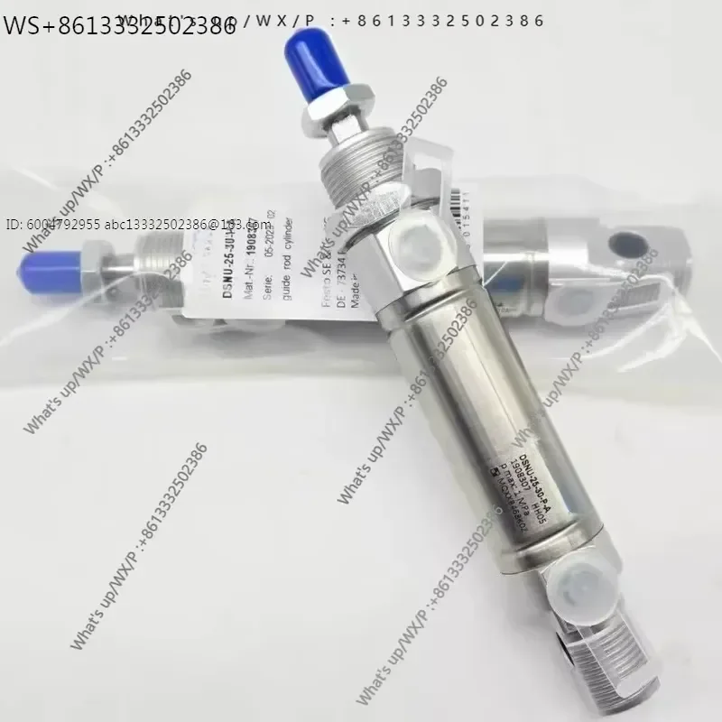 Cylinders DSNU - 8 10 12 16 20 25 32 40 50 63 P A PPV A