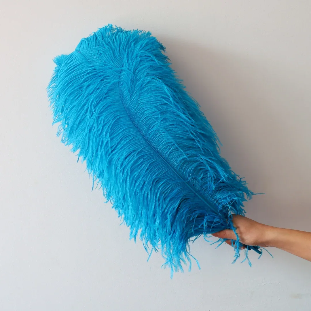 

50pcs Lake blue Ostrich Feather Decoration Plumes 26-28 Inches Wedding Carnival Party DIY Craft Costume Accessories Supply