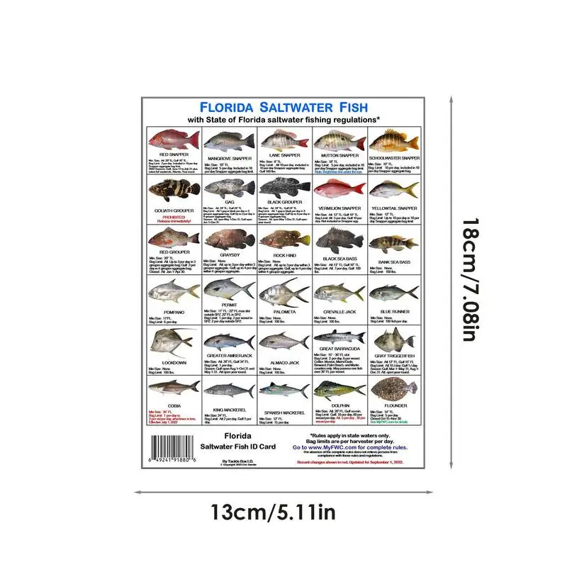 Florida Saltwater Fish Identification Card Color Photos Of Florida Waters Rules Florida Saltwater Fish Identification Card For