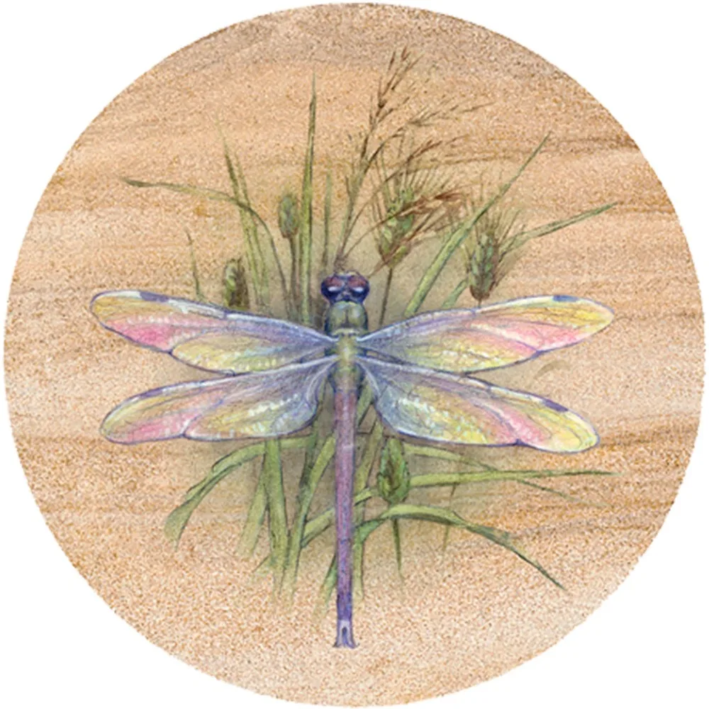 

Drink Coasters Dragonfly Design Set of 4