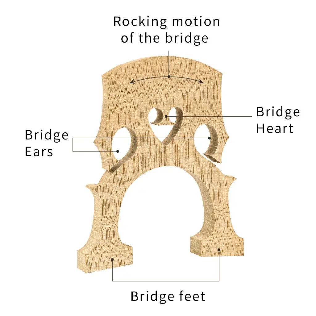 Selected Maple 4/4 3/4 1/2 1/4 1/8 Size Acoustic Cello Bridge Master AA Grade    French Model   Use