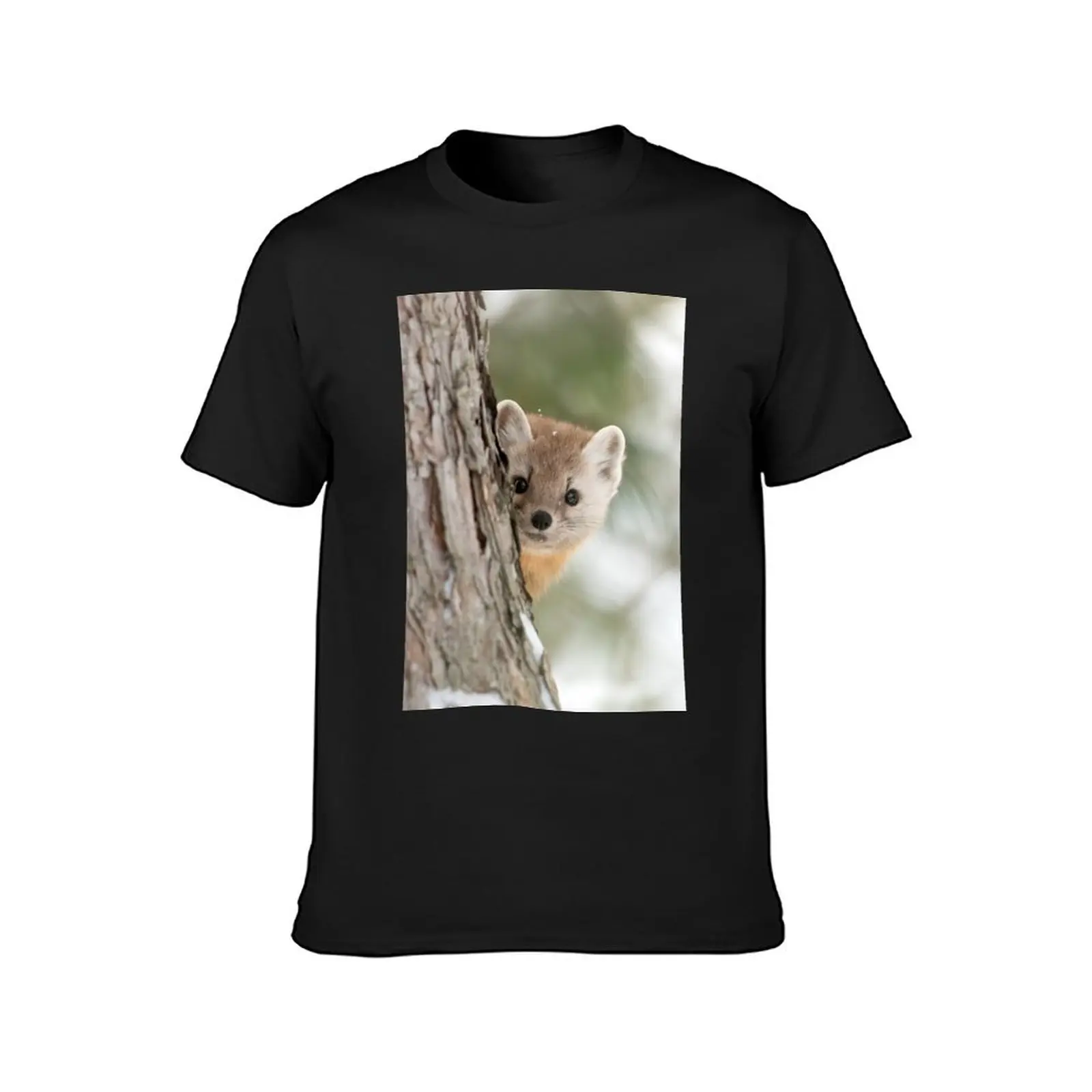 Pine Marten - Algonquin Park T-Shirt tees boys whites men t shirts