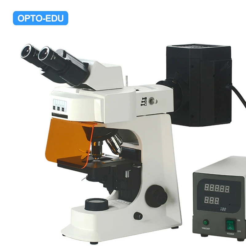 OPTO-EDU A16.2601-B4 Professional Fluorescence Binocular Microscope