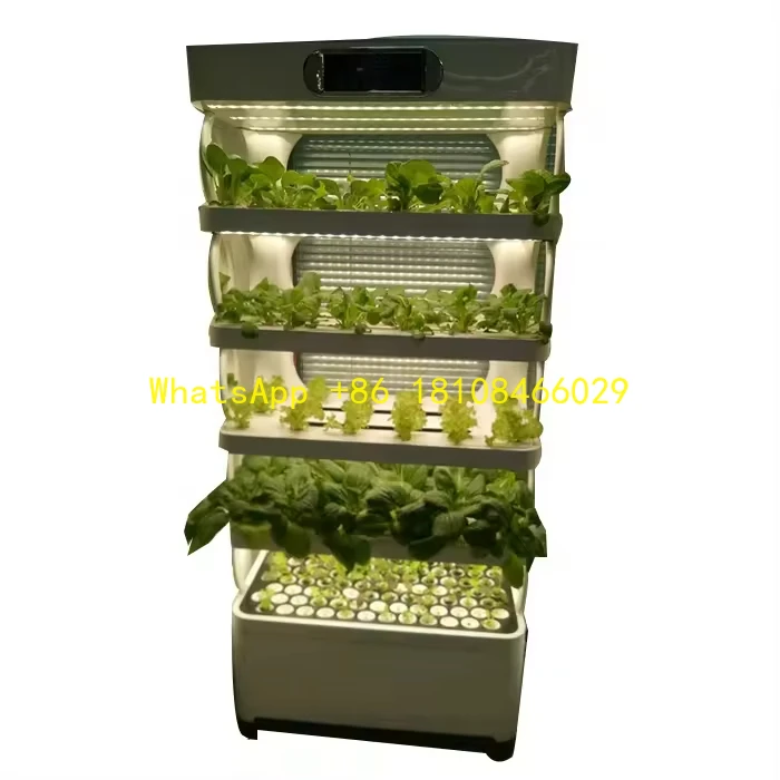 

Growing System Decorative Garden Vegetable Growing Tanks Smart Low Cost Indoor Home Hydroponic