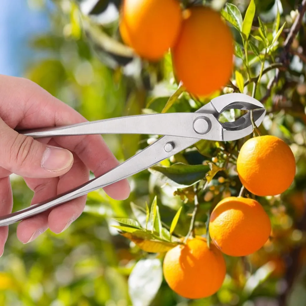 Professional Stainless Steel Branch Cutter Siliver Ergonomic Handle Bonsai Scissors Round Edge Multifunctional Pruning Shears