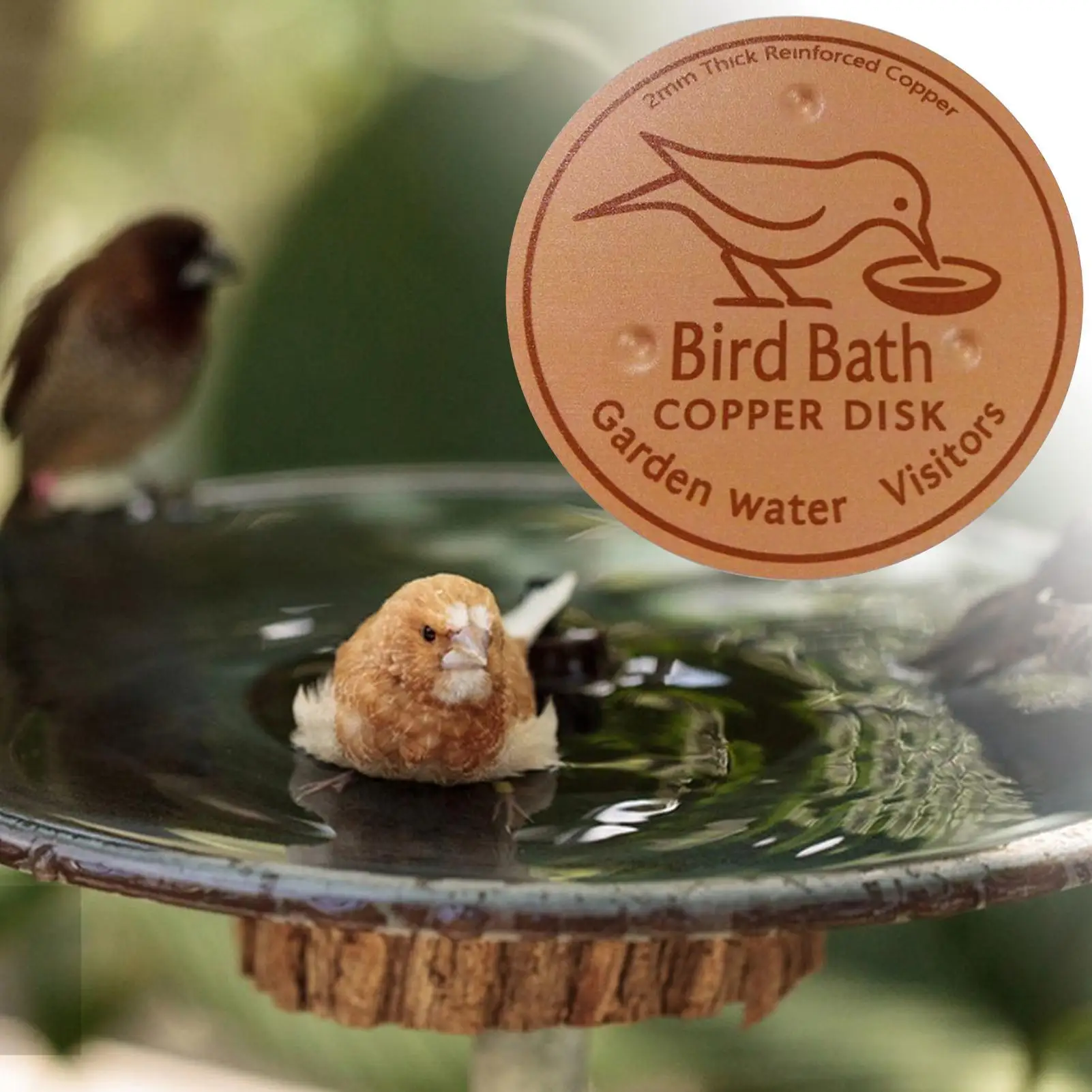 Copper Disk for Bird Bath Copper water Cleaning Disk Triple-Point Support Purification Plate for Safe Clean Water All-Season