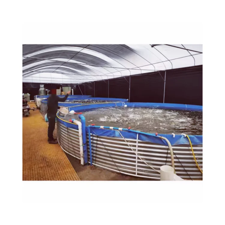 AIROW 18000 Liters Diameter 4m Height 1.45m Fish Farming Equipment Pond Fish Farming Tank Fish Breeding Pool With RAS System