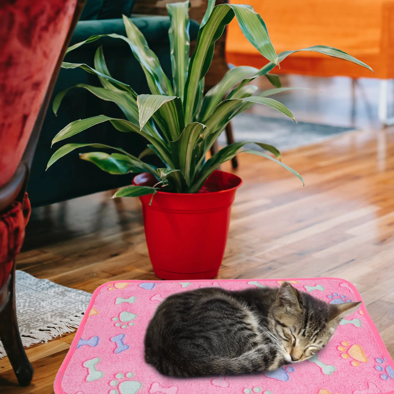 Couverture pour animaux de compagnie, 3 pièces, douce et chaude, lavable, pour chiens, chats, chiots, lits, tapis de voiture, accessoires, tapis de sommeil pour animaux de compagnie