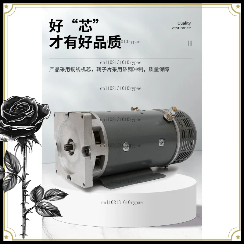 4KW high-power DC motor - Brushed mechanical equipment motor - 24V oil pump motor