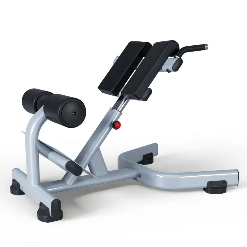 

Dezhou Supply Hot Sale Cheap Professional Commercial Gym Fitness Equipment Back Extension for Body Building