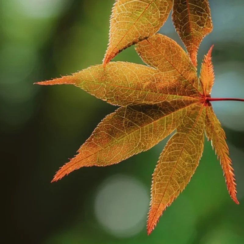 

Для MJX Hyper Go 14210 14209 14211 1/14 RC автомобильный рулевой механизм в сборе с подшипниками, рулевая колонка, детали для обновления рулевого вала