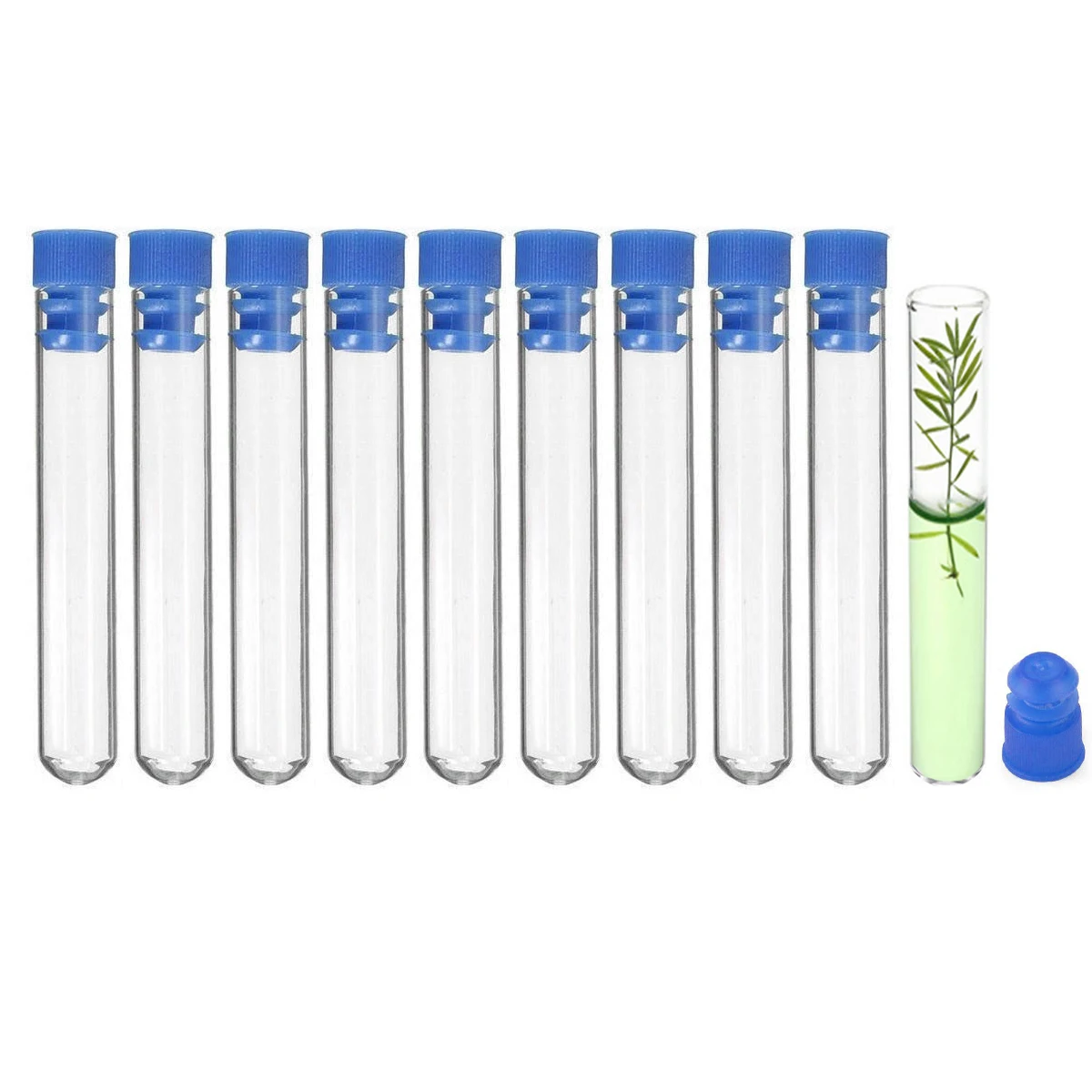 10pcs borosilicate round bottom test tubes clear glass test tubes for experiments decoration plant propagation and holiday gifts