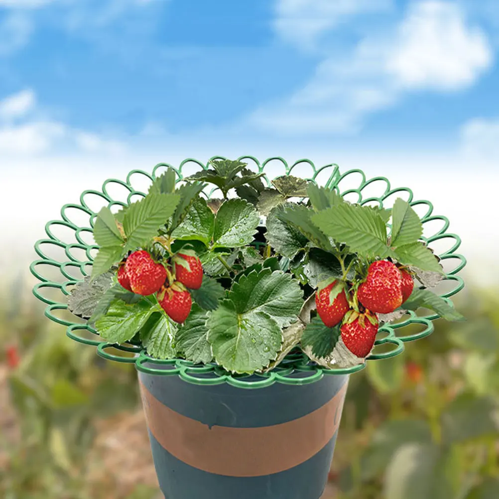 

5pcs Strawberry Plant Supports Space Saving Garden Racks Planter Cages Balcony Flower Pot Trellis Growing Frames Durable