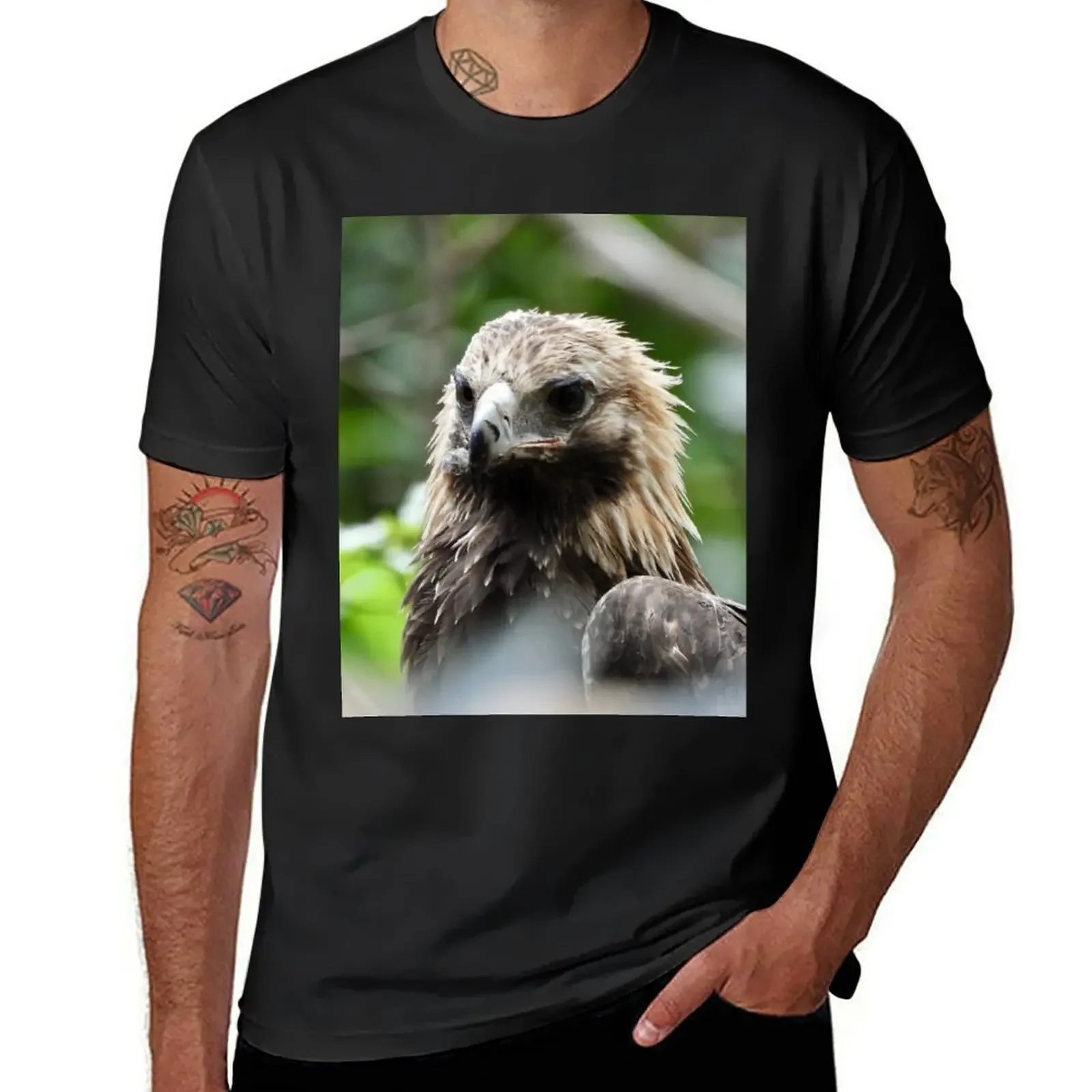 Wedge-tail Eagle Majestic bird of prey T-Shirt sublime summer tops customs design your own T-shirt men