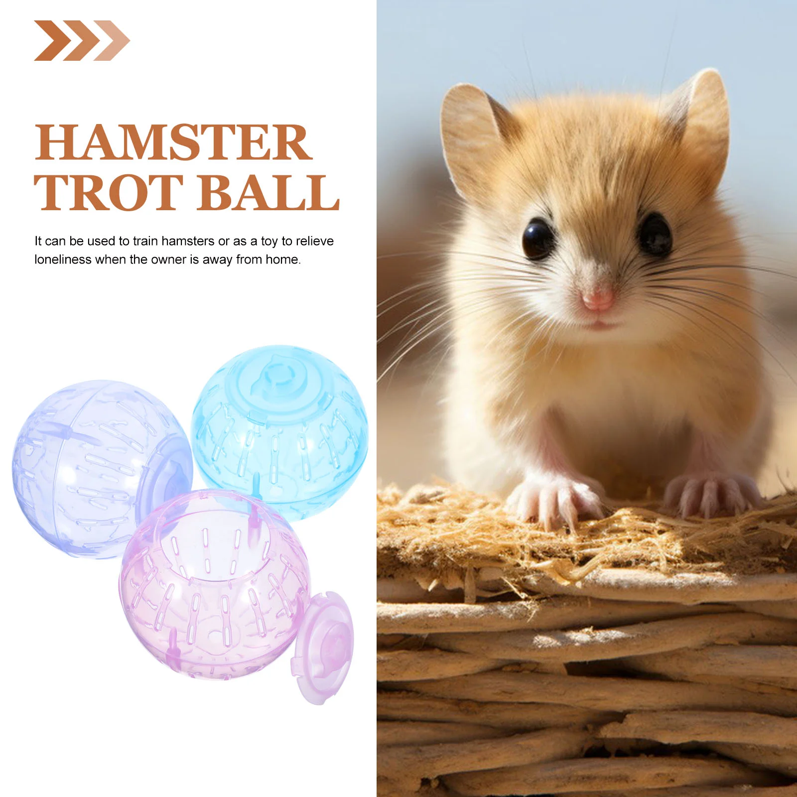 3 PCS Hamster Trotting Ball Sport Balls Mini Plaything Mouse Toy Pet Plastic Supplies