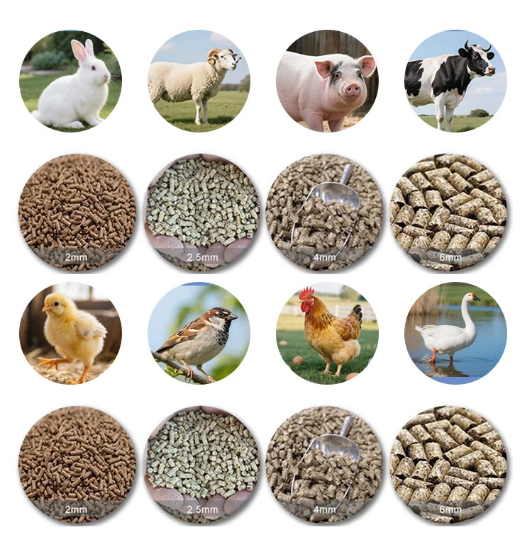 Mini Pellet Machine Pelletizer Machine for Animal Feeds 100-150kg/h Feed Pellet Machine With Best Price