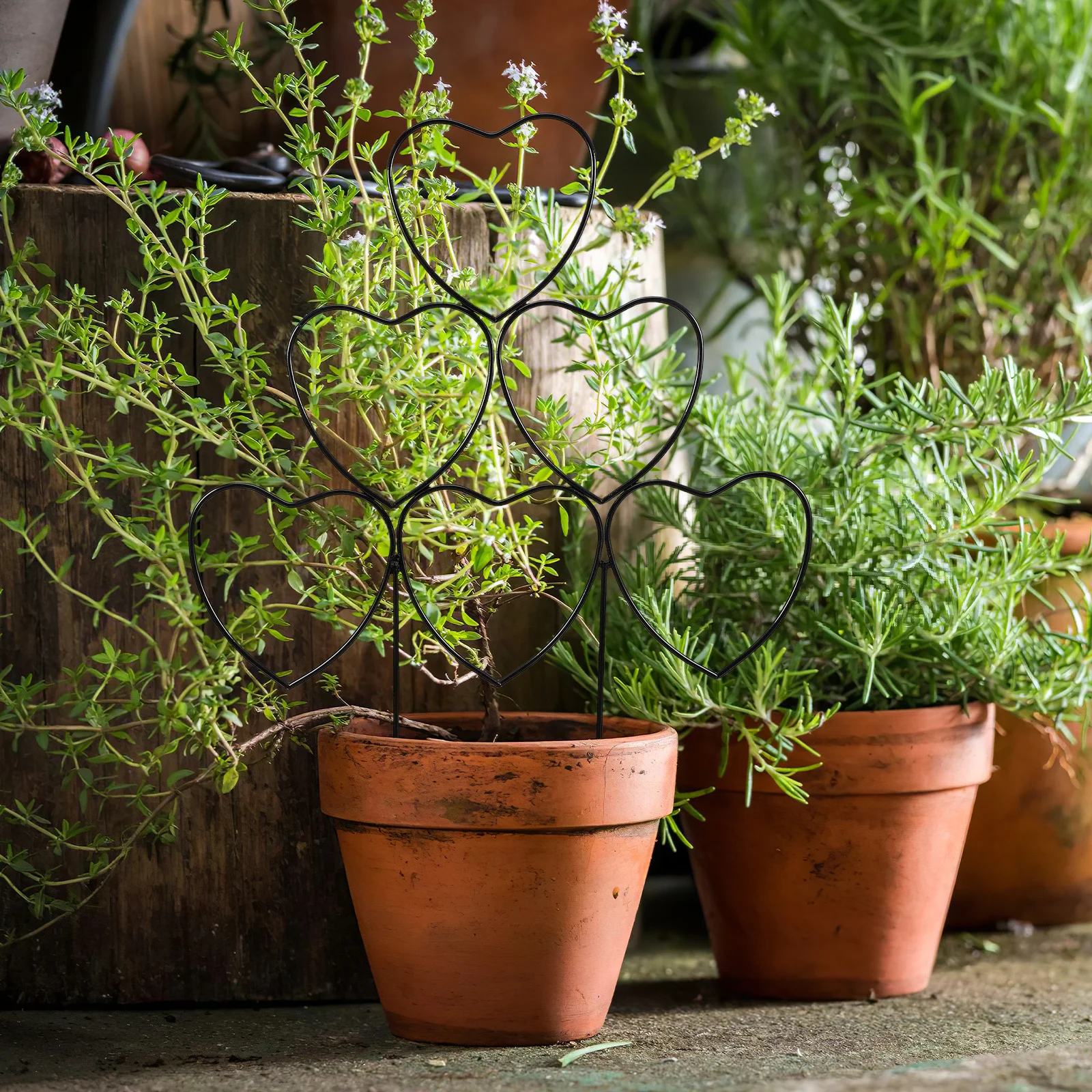 

Прочная металлическая опора для вьющихся растений, складная, для сада, цветов и овощей, простая сборка, для улицы