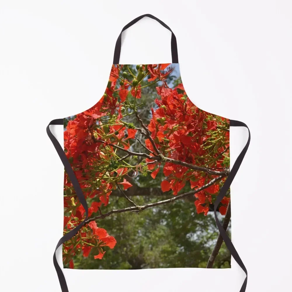 Flamboyant Apron For Women kitchen jacket woman Bib For Kitchen Apron