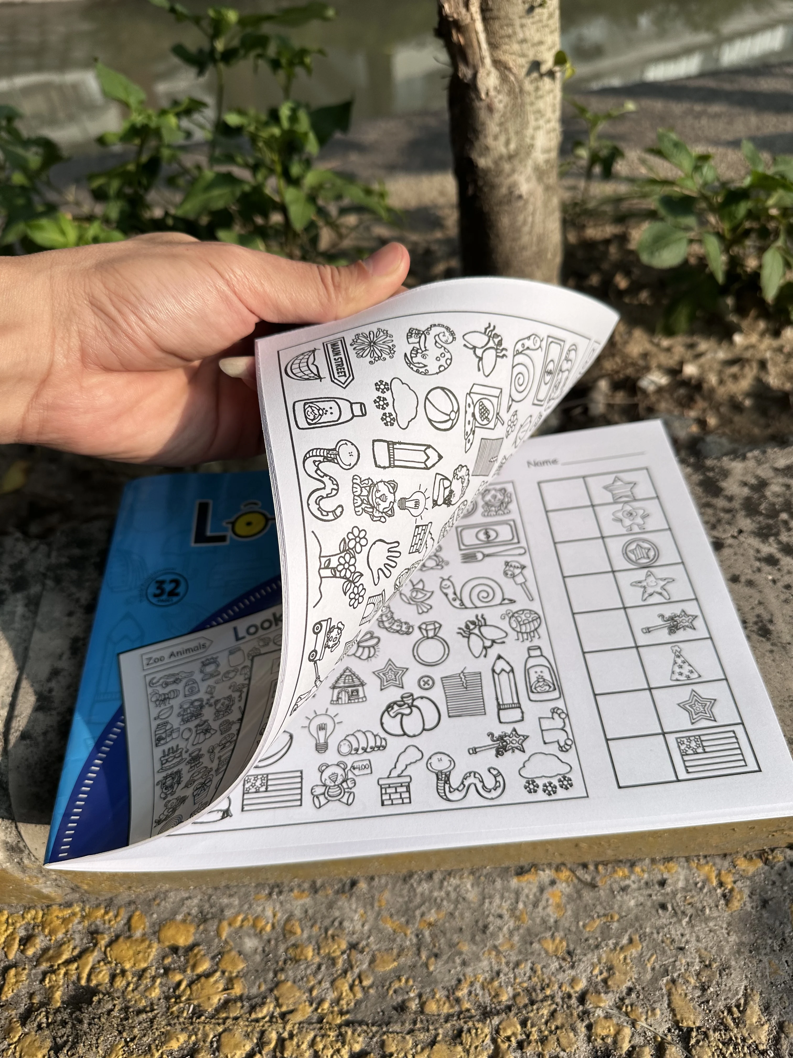 Interactive Hidden Objects Book for Youngsters Concentration Training & Educational Fun with Find and Color Puzzle School Family