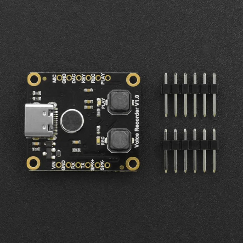 Fermion: DF1101S Voice Recording and Playback Module