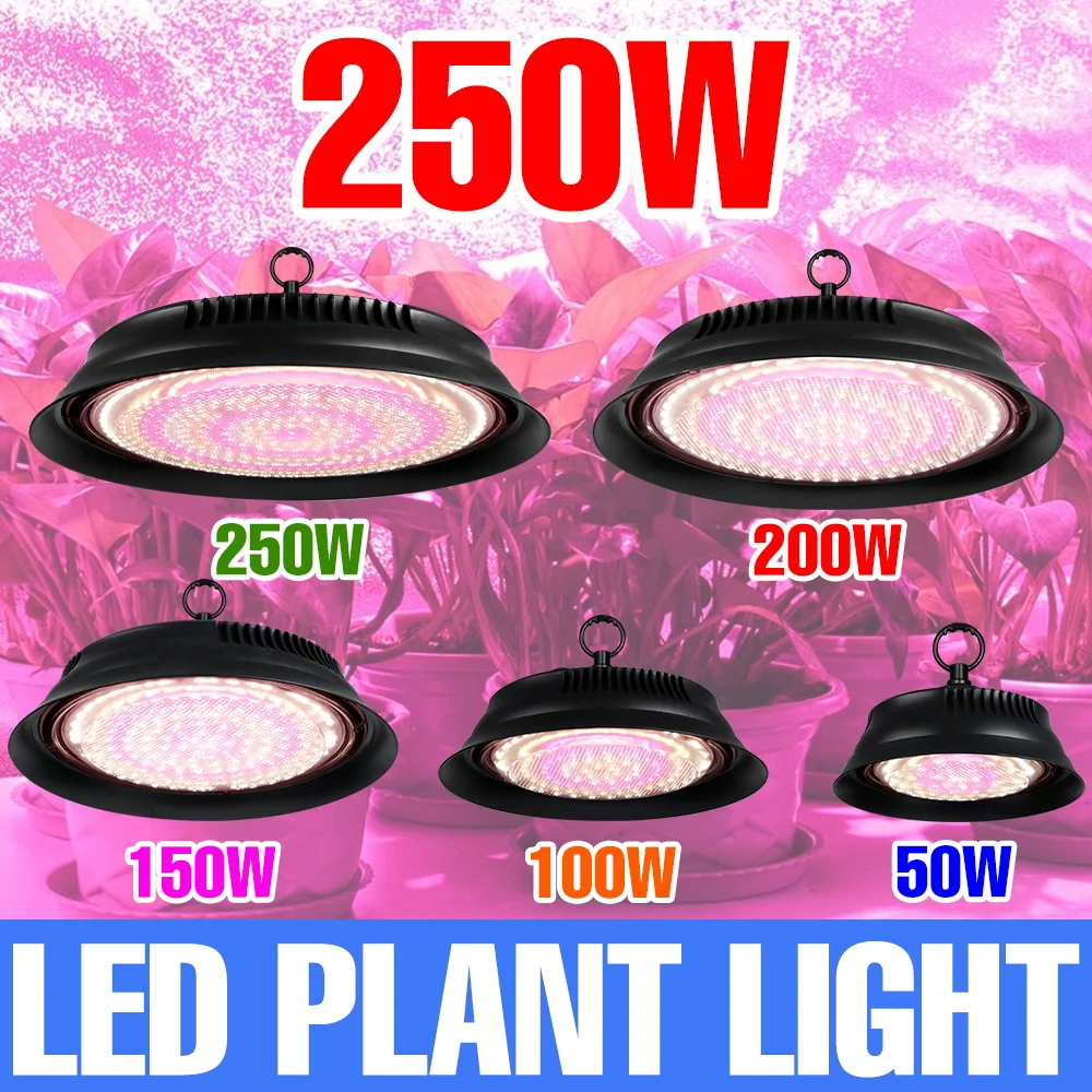 

250W LED Grow Light Full Spectrum Plant Hydroponics Lamp US/EU Plug For Interior Greenhouse Tent Succulent Cactus Cultivation