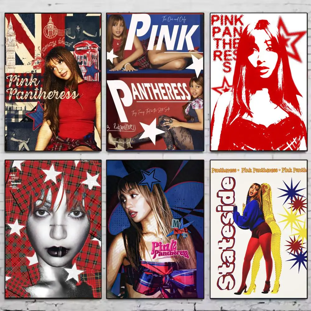 Singer P-PinkPantheress Poster Vintage Wall Art Aesthetic Room Decor Print Living Room Bedroom Home Decoration