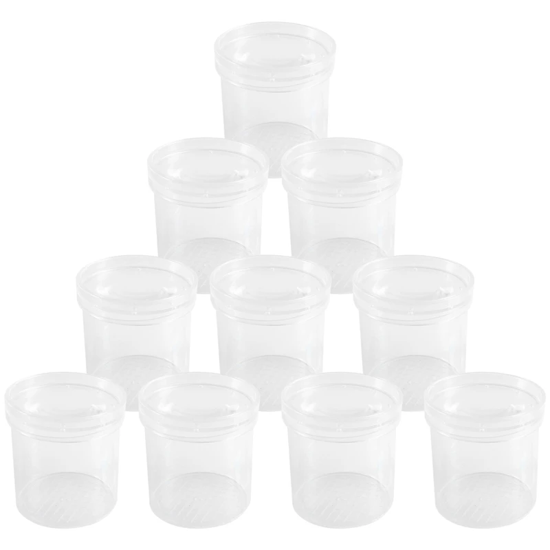 Tasse d'Observation d'Insectes, Loupe d'Insectes, Boîte d'Alimentation Fuchsia, Tube d'Observation Naturel, 1 Ensemble