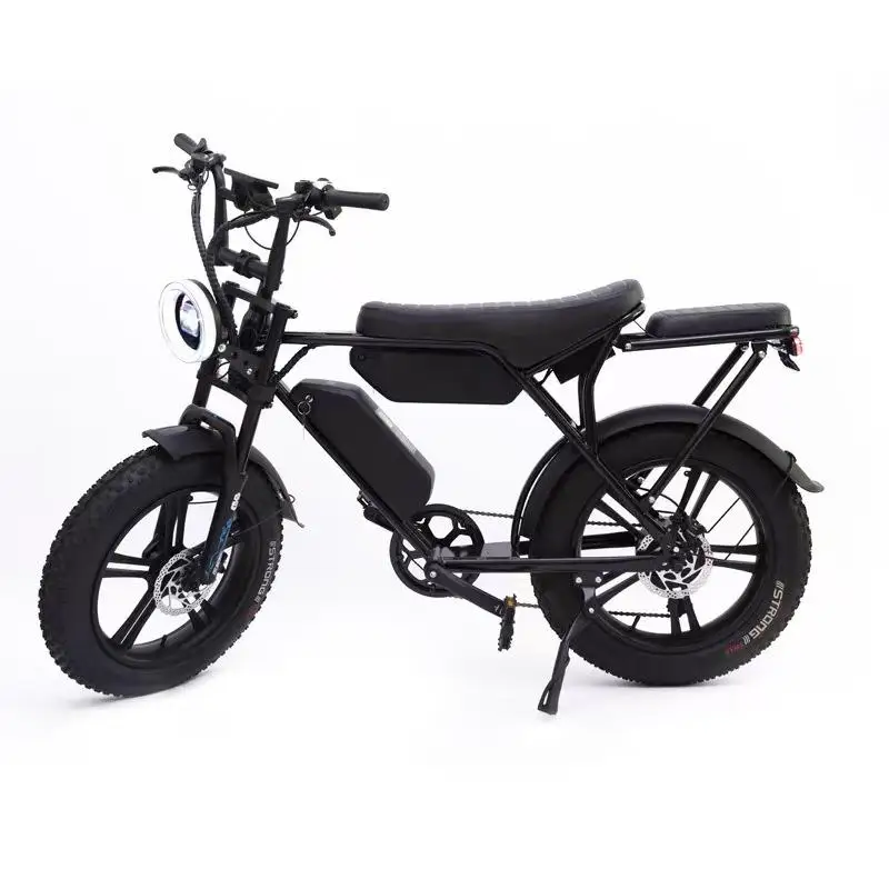 Electric Assisted Bike H20pro 1000W Motor 48V 30AH Mountain E-Bike 20 Inch Tire Commuting All Terrain Off-Road Electric Bicycle image 3