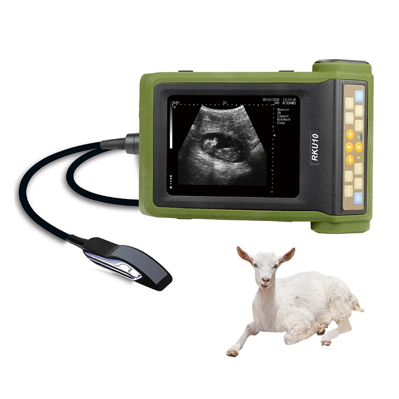 

Animal Diagnosis Veterinary Port le Full Digital Bladder Volume Ultrasound Scanner for Cattle Sheep Horse Pig Farm