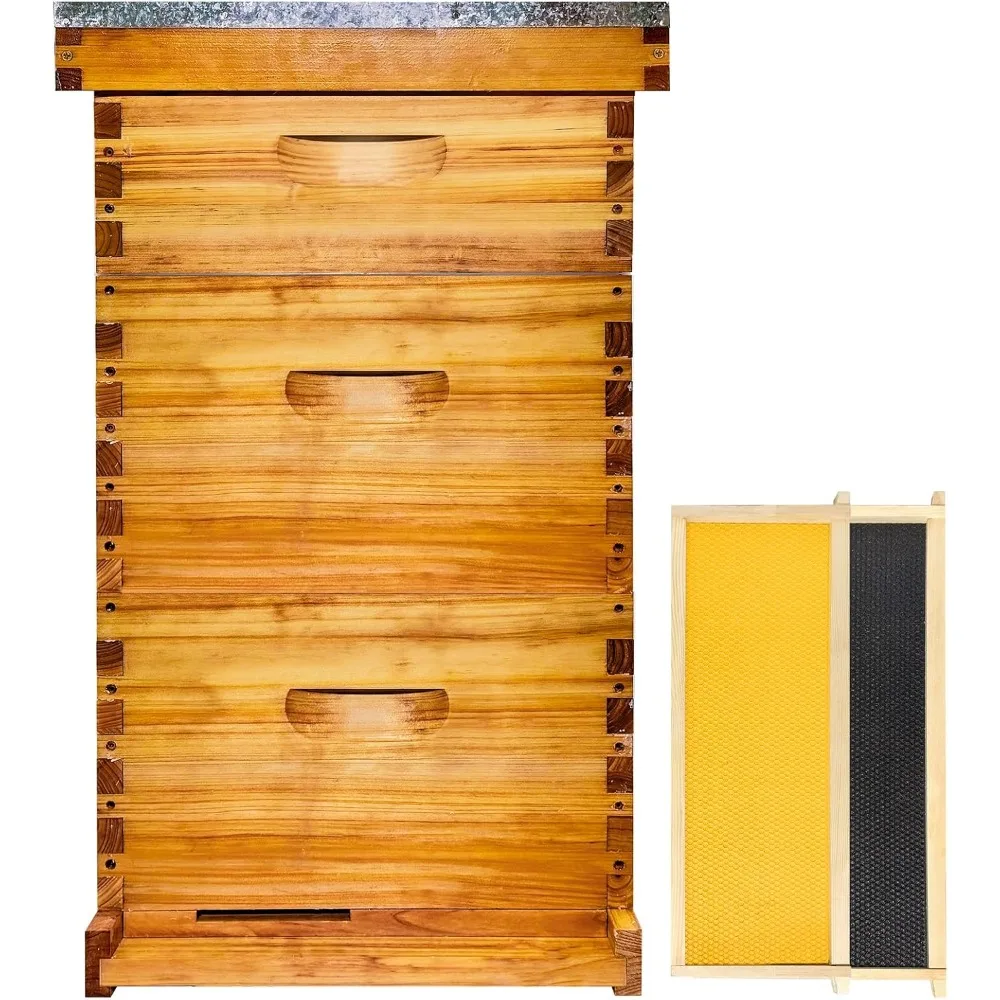 

10 Frame Bee Hive Beeswax Coated Includes Beehive Frames and Foundations (2 Deep Boxes & 1 Medium Box)