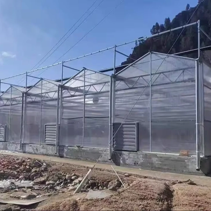 

Customized greenhouseHigh-Quality Venlo Polycarbonate Greenhouse - Multi-Span Commercial Greenhouse with Climate Control System