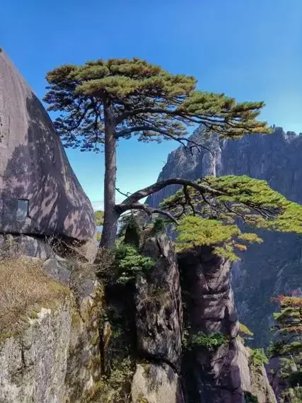 

Steel Spur gear main gear - set TT2100 for TAMIYA XV02 TT02 TT02B RC CAR PART