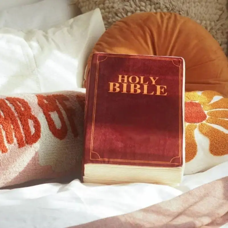 Scripture Pillow Bible Text Scriptures Christian Gift Stuffed Plushie Bible-Pillow Cutest Bible Memory Foam Pillow