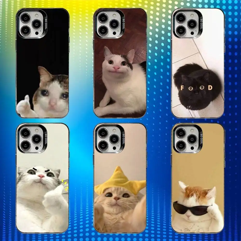 

Cute Funny Cat Meme Phone Case For iPhone 16,15,14,13,12,11,Mini,Pro,SE,MAX White Matte Shockproof Cover