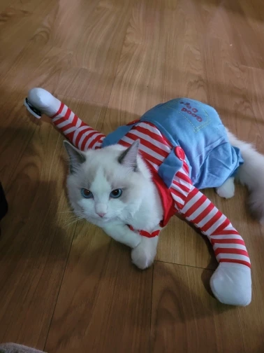 구매후기