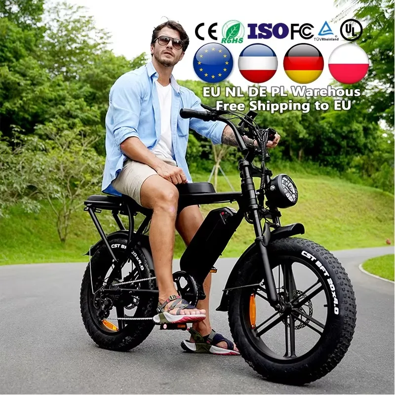 European Union Elec… - image