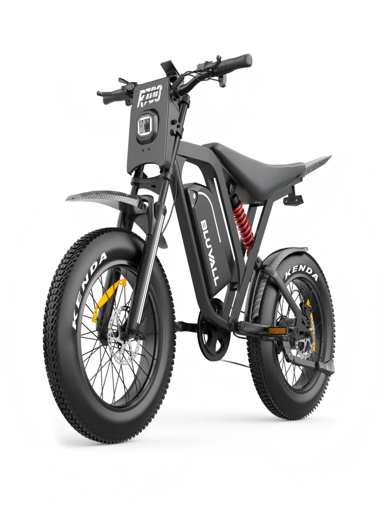 BLUVALL R700 E-Bike für Erwachsene, Spitzenleistung 1000W Motor, 48V25AH Akku, hydraulische Bremse, 20*4.0' Fat Tire Offroad E-Bike, Doppelstoßdämpfung, 45KM/H Mountain E-Bike mit LCD-Display,