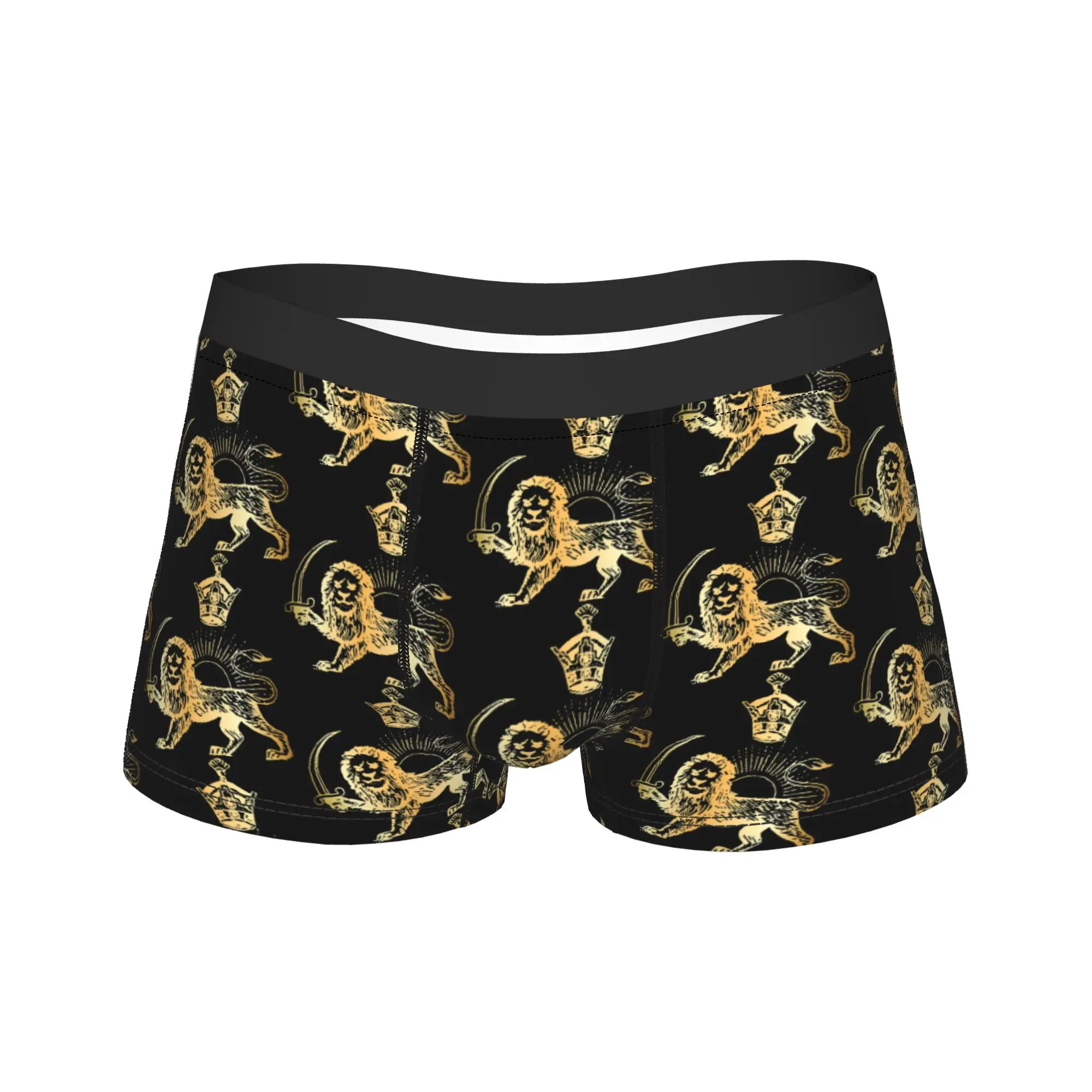 

Persian Flag Lion Ancient Symbol Of Authority Underwear Iran Man Panties Breathable Boxershorts Shorts Briefs Plus Size 2XL