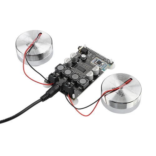 Imagen 2 del producto AIYIMA Altavoz de Rango Completo con Vibración + Amplificador + Enchufe Audio De 2 Pulgadas Mini Altavoces de Resonancia Portátiles de 4 Ohm/20W 8 Ohm/25W Amplificadores de Audio TPA3118 Compatibles con Bluetooth Sonid