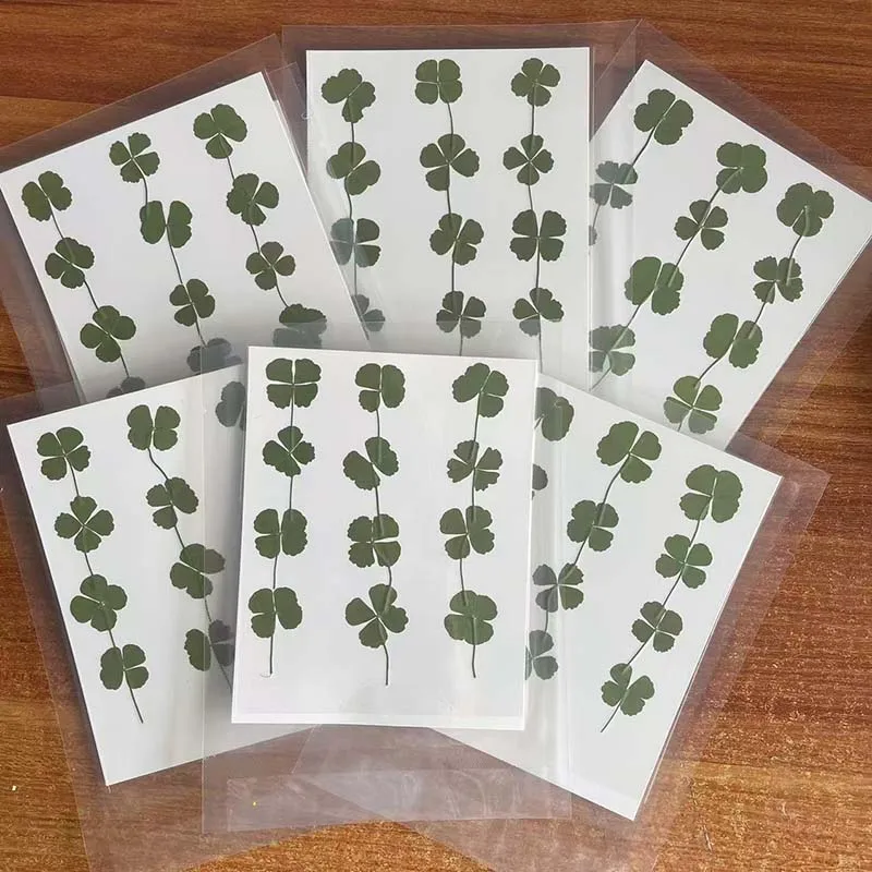 60 шт., 120 шт., сухой пресс, зеленая листва, клевер, настоящие натуральные сушеные прессованные цветы, ветки с четырьмя листьями для формы из эпоксидной смолы