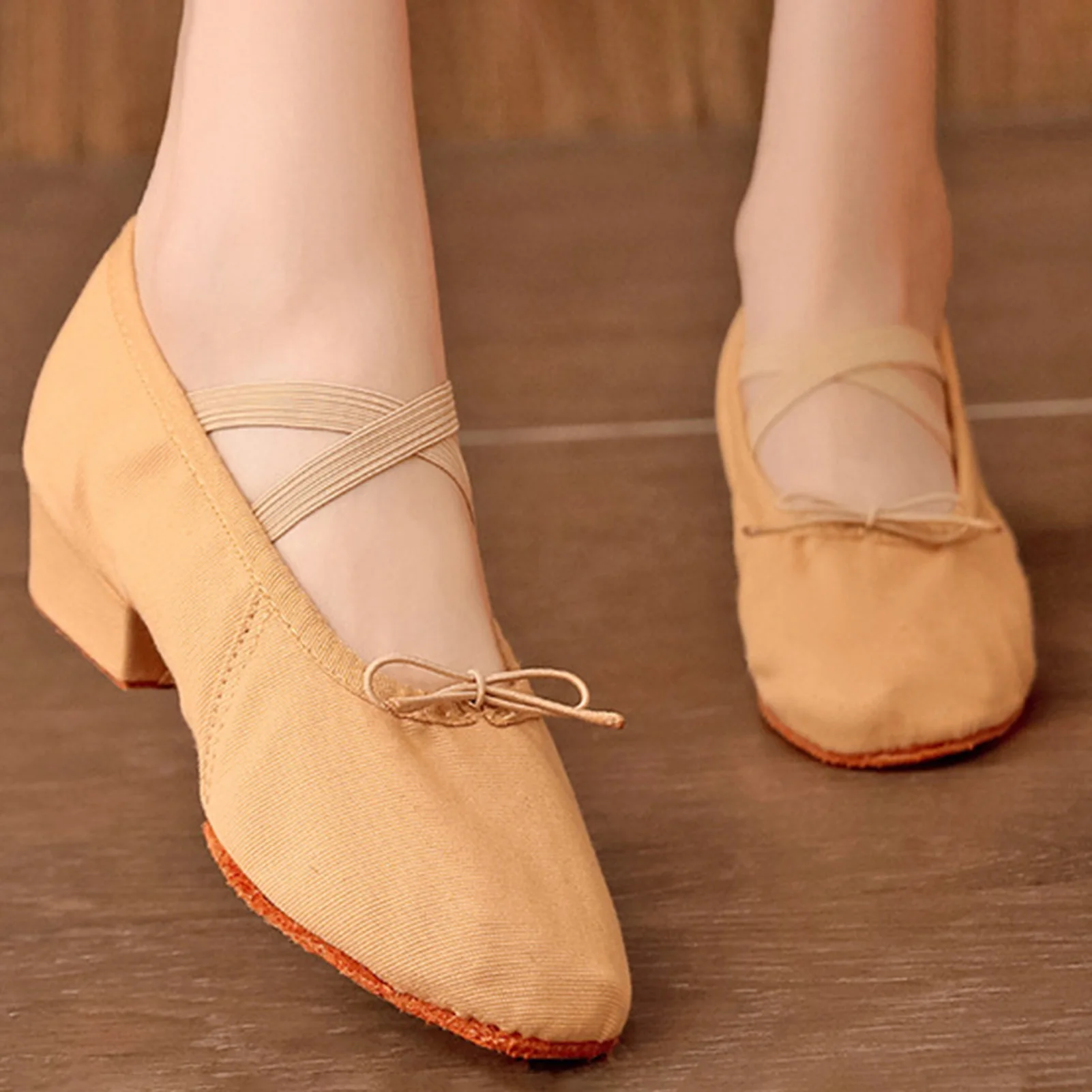 Women's Ballet Shoes with Low Chunky Heel Ballet Slipper Soft Dance Shoes Adult Dance Trainers