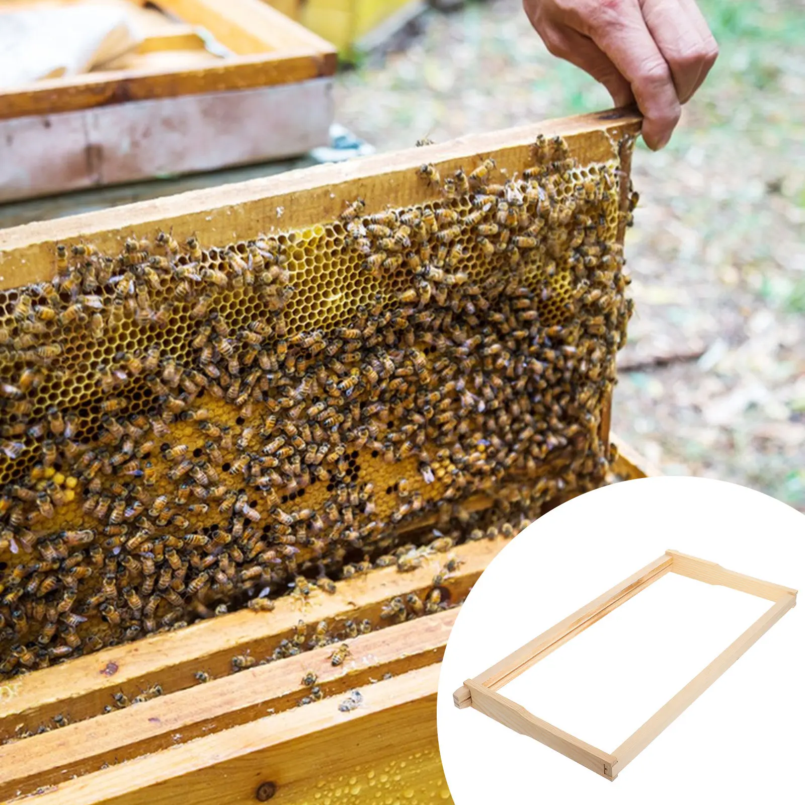 Sturdy Wooden Beehive Frame Nest Foundation Frame for Honeycomb Wax Sheet Support Robust Pine Construction Beekeeping Equipment
