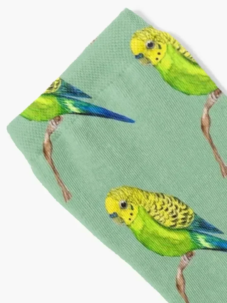 Cute green budgie Socks kawaii professional running compression short Man Socks Women's