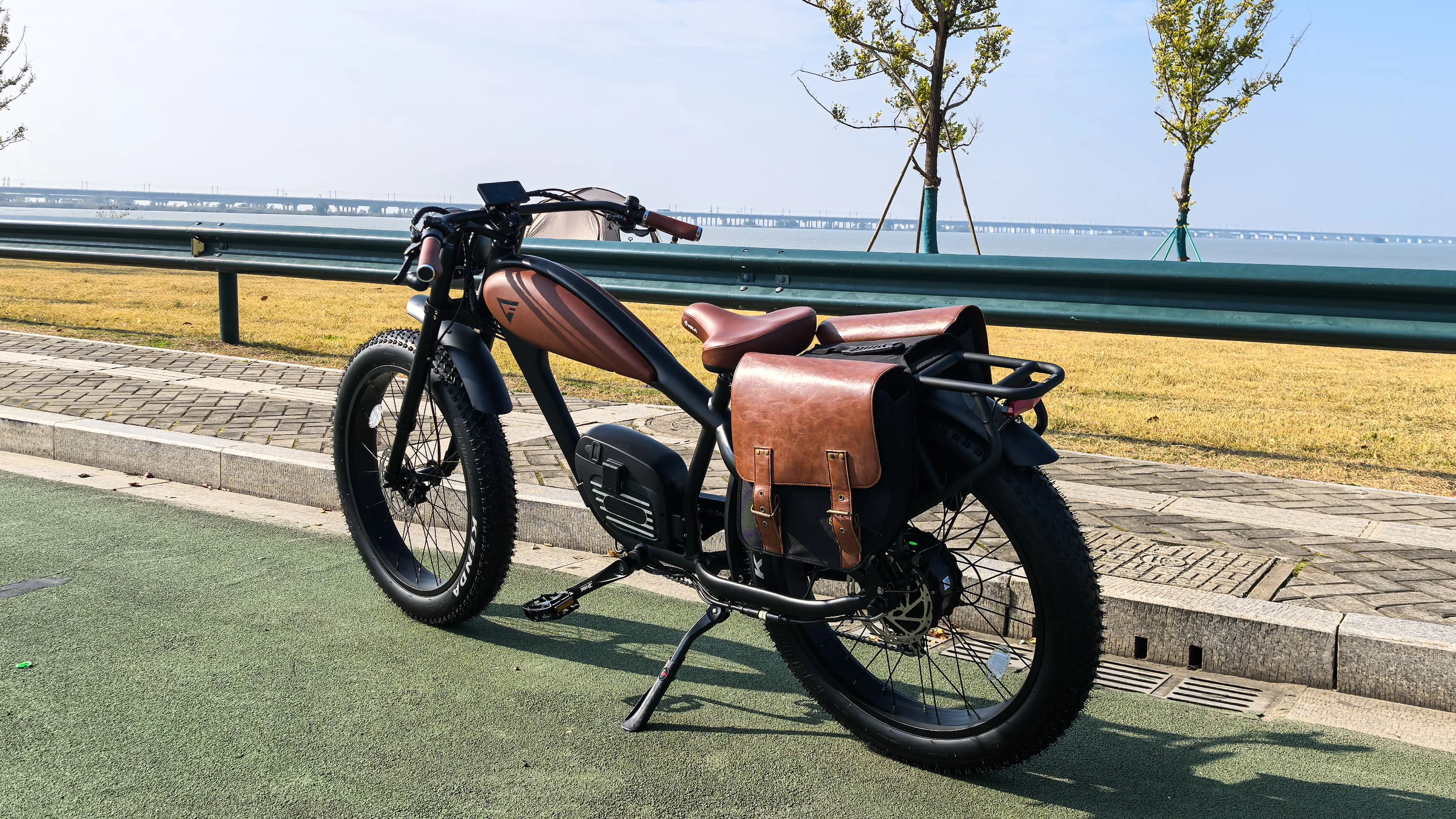 Adult Electric Bicycle 750W Motor 150kg Payload Hydraulic Disc Brakes 7 Speed Ebike